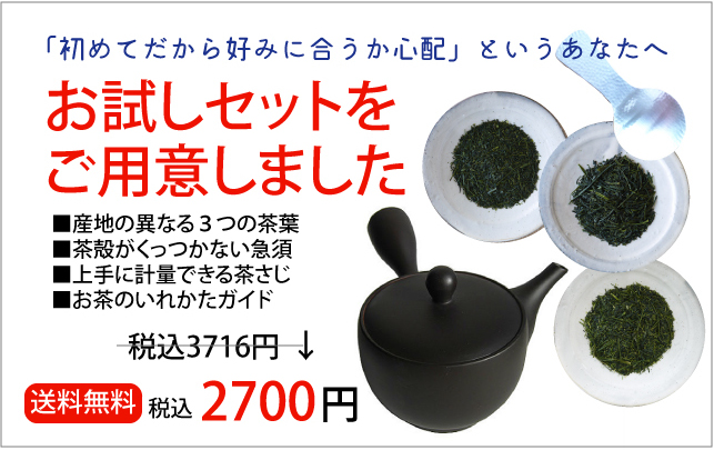 日本茶お試しセット 茶葉3種類、常滑急須付き